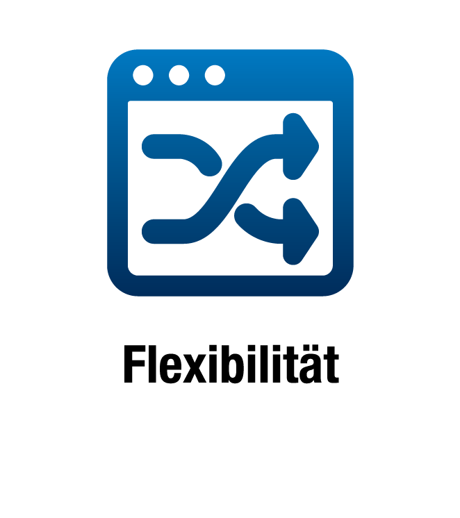 Flexible API Flexible API