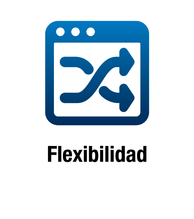 Flexible API Flexible API